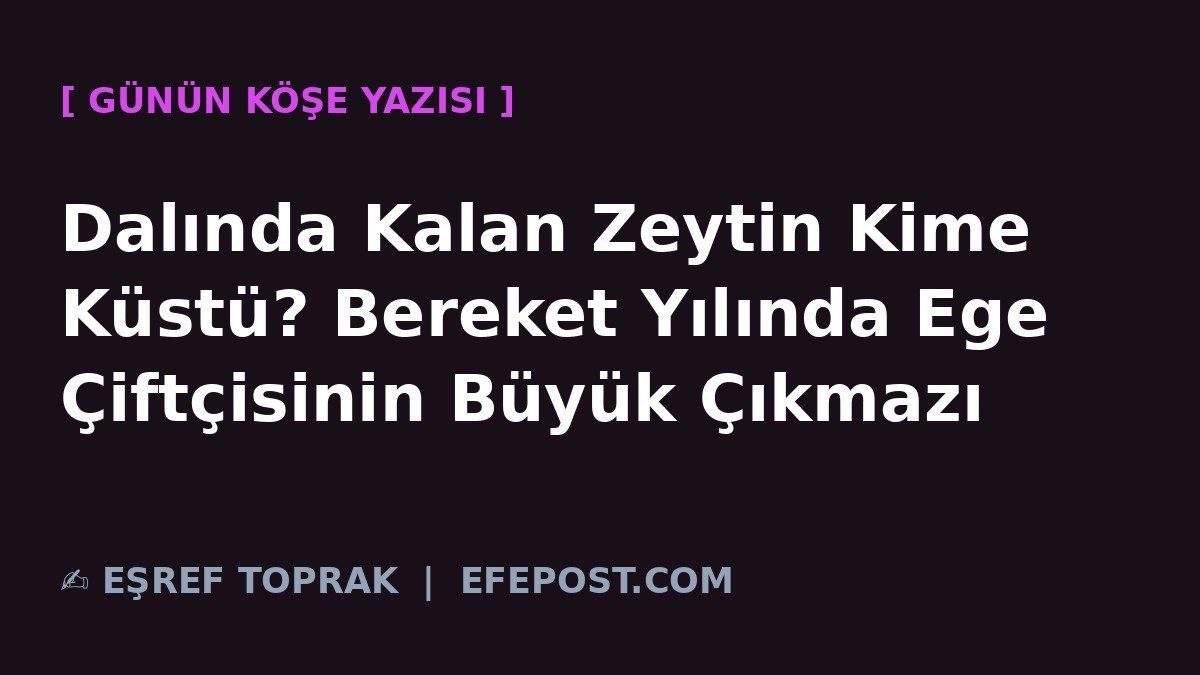 Dalında Kalan Zeytin Kime Küstü? Bereket Yılında Ege Çiftçisinin Büyük Çıkmazı