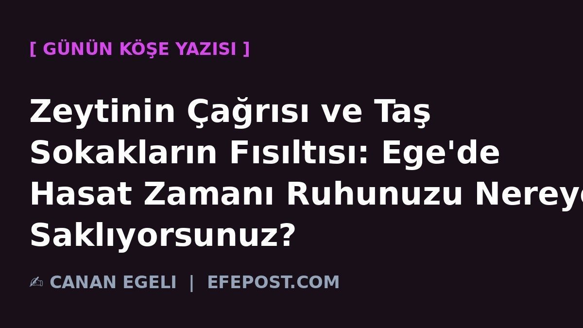 Zeytinin Çağrısı ve Taş Sokakların Fısıltısı: Ege'de Hasat Zamanı Ruhunuzu Nereye Saklıyorsunuz?