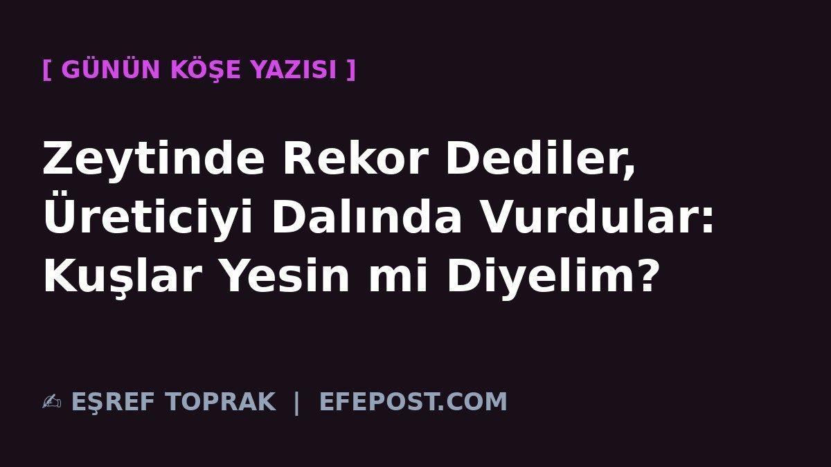 Zeytinde Rekor Dediler, Üreticiyi Dalında Vurdular: Kuşlar Yesin mi Diyelim?