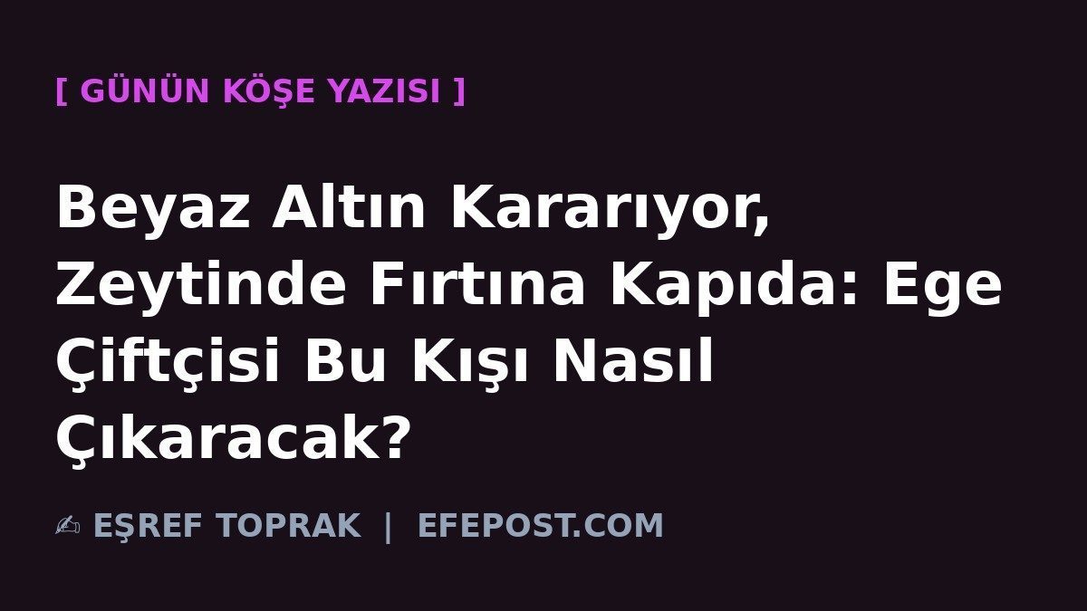 Beyaz Altın Kararıyor, Zeytinde Fırtına Kapıda: Ege Çiftçisi Bu Kışı Nasıl Çıkaracak?