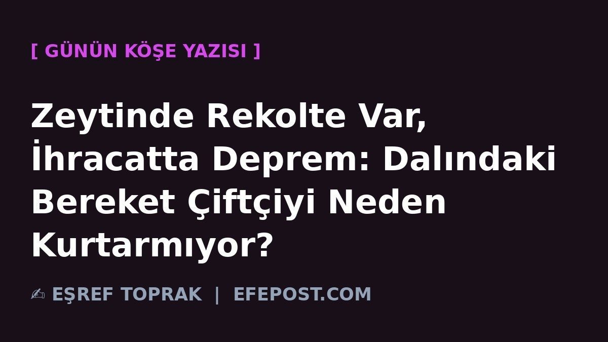 Zeytinde Rekolte Var, İhracatta Deprem: Dalındaki Bereket Çiftçiyi Neden Kurtarmıyor?